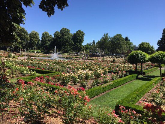 Peninsula Park Rose Garden